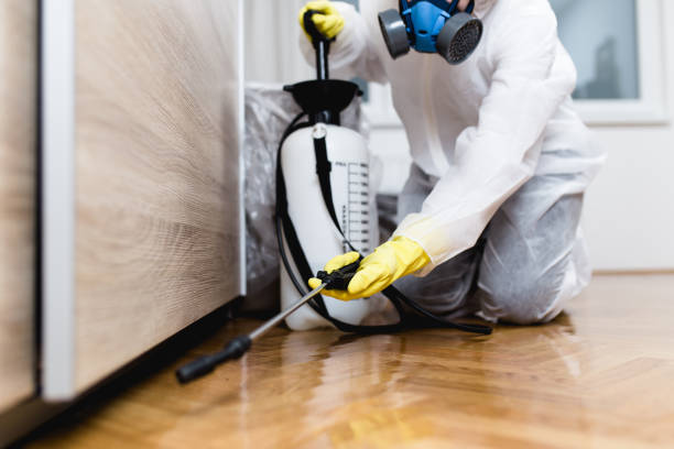 Best Pest Prevention Services  in Dunnigan, CA