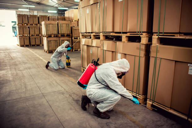 Best Mosquito Control Services  in Dunnigan, CA