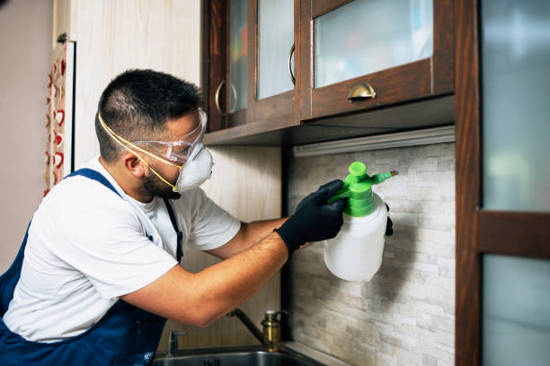Best Pest Control Near Me  in Dunnigan, CA