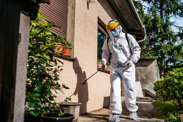 Best Best Pest Control Companies  in Dunnigan, CA