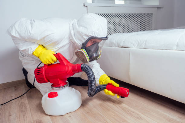 Best Pest Inspection Near Me  in Dunnigan, CA