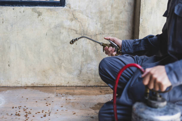 Best Flea Control Services  in Dunnigan, CA